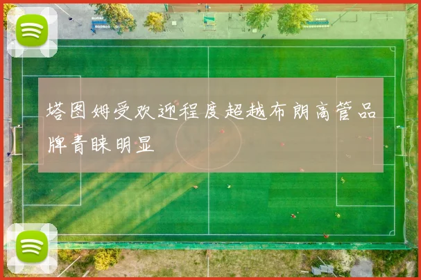 塔图姆受欢迎程度超越布朗高管品牌青睐明显